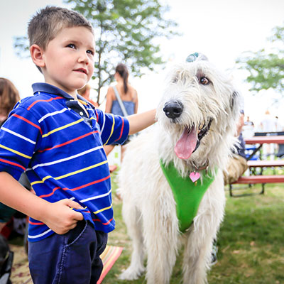 Celtic Canine & Kid